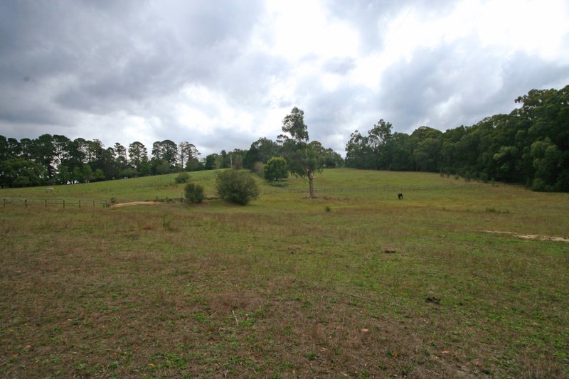 4 ½ ACRES CLEARED