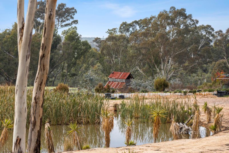 141 Sinclairs Lane, Walmer, VIC 3463 Land for Sale