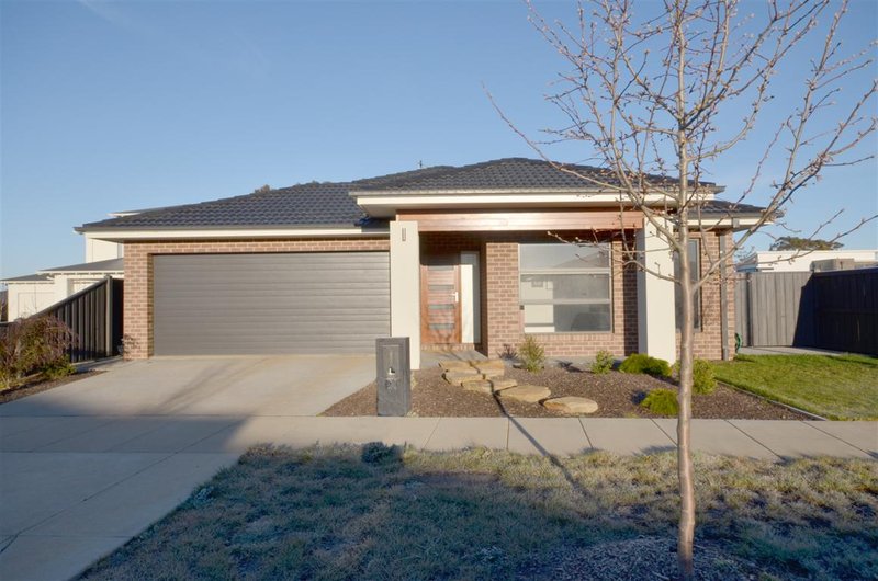 Ballarat Real Estate Agents & Property Management Jellis Craig