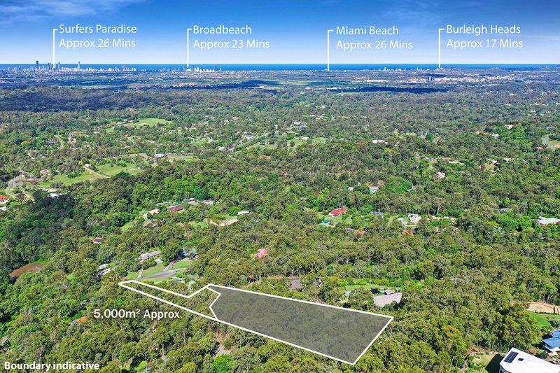 Tallai property image
