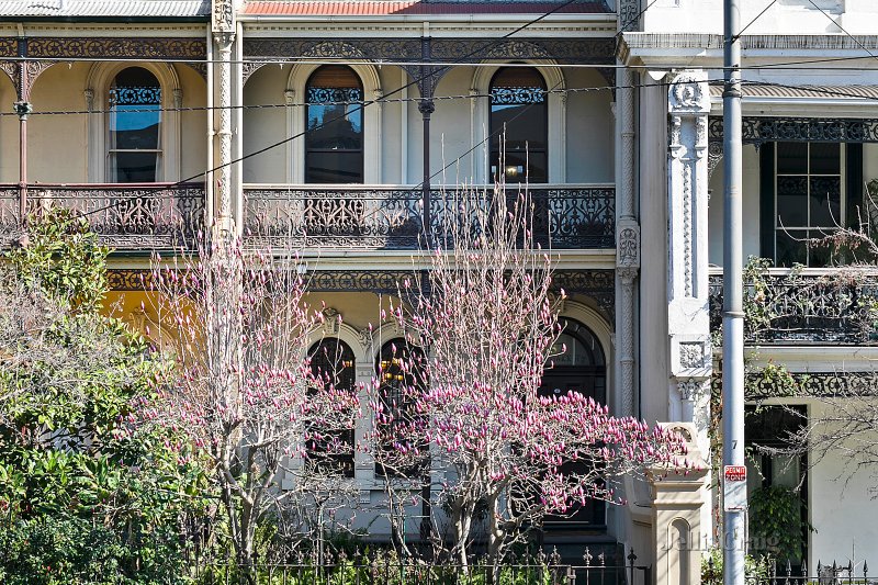 37 Brunswick Street