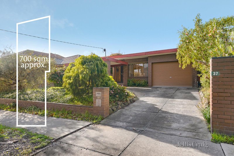 37 Nicholson Street