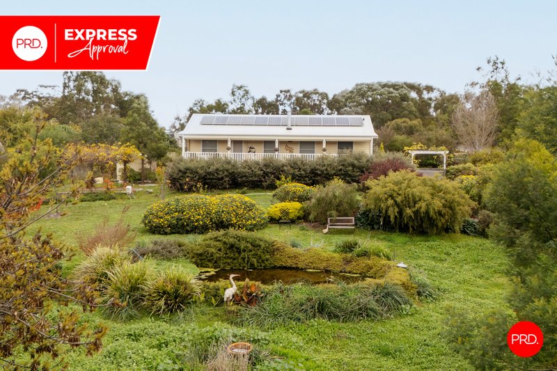 MALDON property image