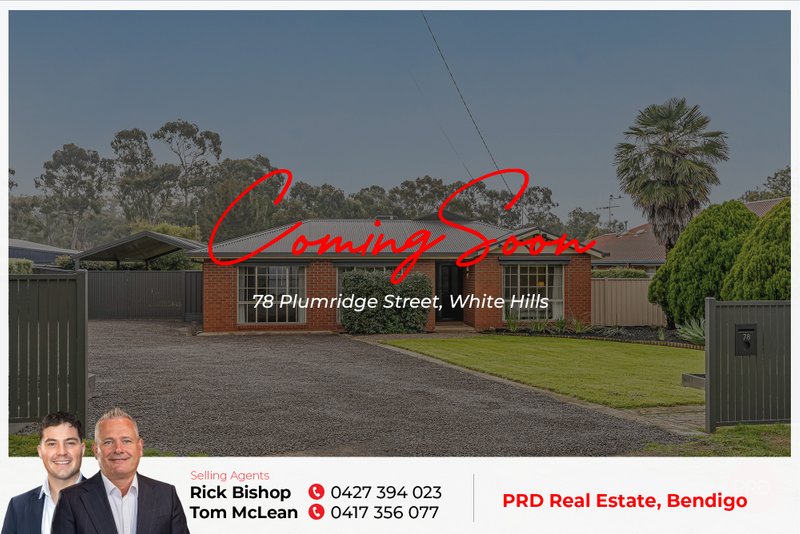 WHITE HILLS property image