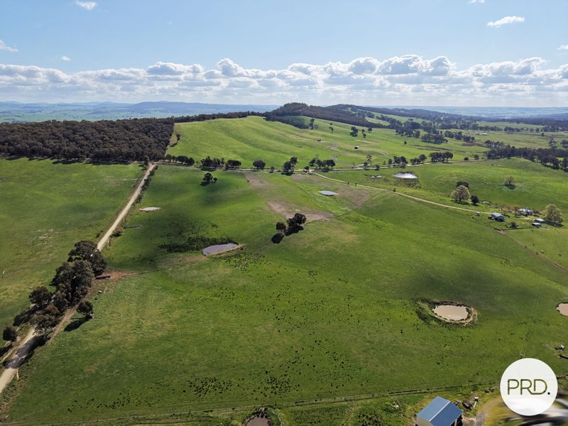 TUMBARUMBA property image