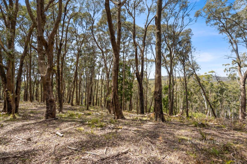 CA 6A, B, C & D Quicks Road, Blackwood, VIC 3458 - Land for Sale