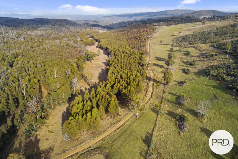 ELLENDALE property image