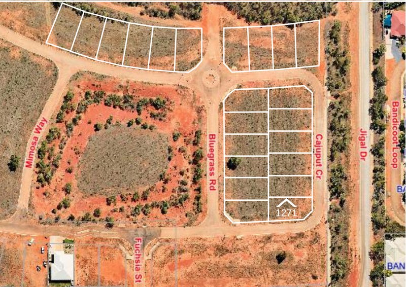Lot 1271 33 Cajuput Crescent, DJUGUN WA 6725