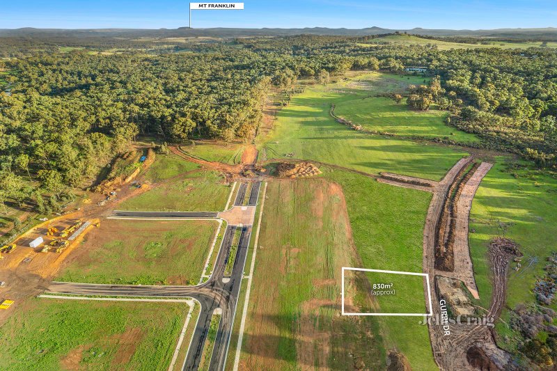 Vacant lot awaits your forever home