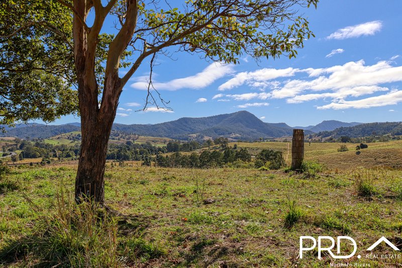 WIANGAREE property image