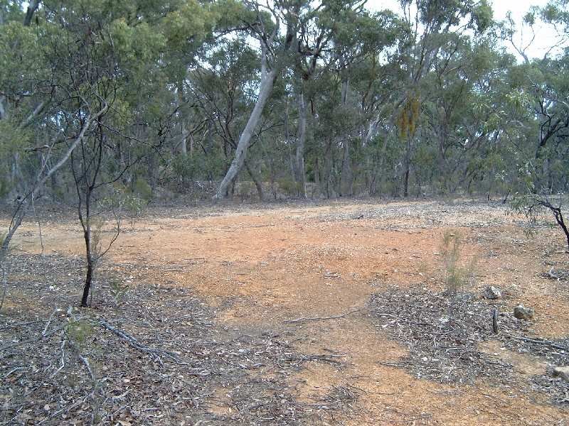 Specimen Gully Road, Barkers Creek, VIC 3451 Land for Sale