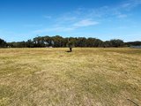 10 Fishburn Place, DUNBOGAN