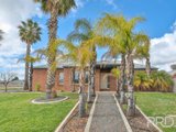 11 Hoyts Drive, MILDURA VIC 3500