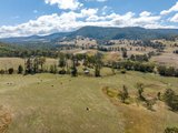 1100 Batlow Road, TUMBARUMBA