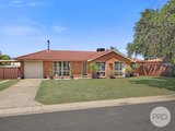 13 Baxter Place, TAMWORTH NSW 2340