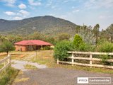 134 Elizabeth Drive, TAMWORTH NSW 2340