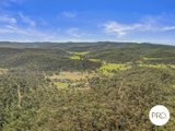 1389 Giants Creek Road, GIANTS CREEK NSW 2328