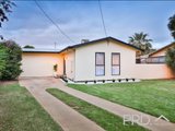 14 Albert Street, MILDURA VIC 3500