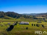 1403 Collins Creek Rd, COLLINS CREEK NSW 2474
