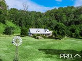 165 Afterlee Road, HORSE STATION CREEK NSW 2474
