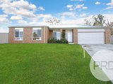 17 Chafia Place, LAVINGTON NSW 2641