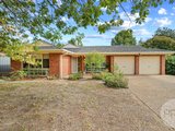 17 Oleander Crescent, LAKE ALBERT NSW 2650