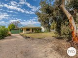 171 Adams Street, WENTWORTH NSW 2648