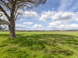 199 Anambah Road, ANAMBAH NSW 2320