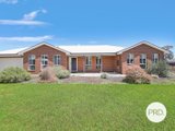 20 Chafia Place, SPRINGDALE HEIGHTS NSW 2641