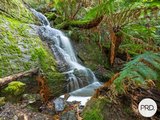 212 Lower Swamp Road, LACHLAN TAS 7140