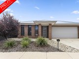 23 Daisy Street, HUNTLY VIC 3551
