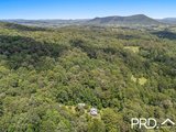 247 Davis Road, GREEN PIGEON NSW 2474