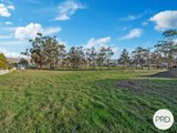 272 Back River Road, NEW NORFOLK TAS 7140