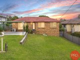 29 Queen Street, RUTHERFORD NSW 2320