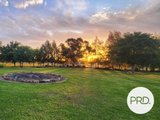 299 Whitehouse Lane, TAMWORTH NSW 2340