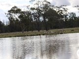 3025 Pilliga Road, CUTTABRI NSW 2388