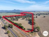 372 Old Trunk Road, THE ROCK NSW 2655