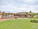 4 Homestead Court, MILDURA VIC 3500