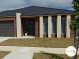 41 Sorrento Drive, ALFREDTON VIC 3350