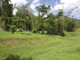 423 Paluma Road, WOODWARK QLD 4802