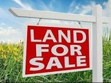 45 Silverton Street, GREGORY HILLS NSW 2557