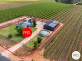 481 Reserve Road East, COOMEALLA NSW 2717