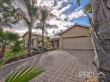 56 Carramar Drive, GOL GOL NSW 2738