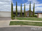 6 Eyre Court, MILDURA VIC 3500