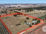60 Milbrulong Tip Road, MILBRULONG NSW 2656