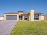 63 Radford St, CLIFTLEIGH NSW 2321