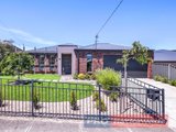 704 Sherrard Street, BLACK HILL VIC 3350