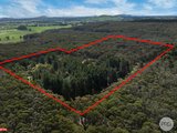 75 Stringybark Track, MOLLONGGHIP