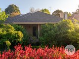 751 Forrest Hill Avenue, ALBURY NSW 2640