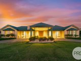 8 Bell Gum Place, LAKE ALBERT NSW 2650